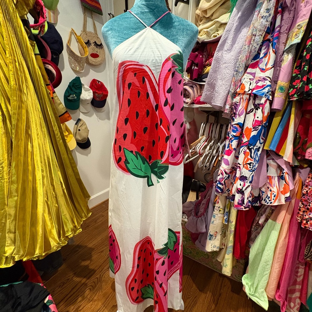 Never Fully Dressed Strawberry Dress